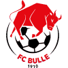 https://img.tzymfs.com/img/football/team/b201265fa89720bf8cd8ef95549a4738.png